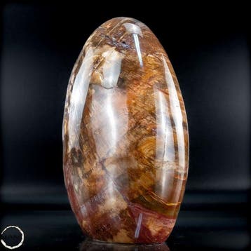 Vrije vorm van versteend hout handgepolijst- 1505.16 g