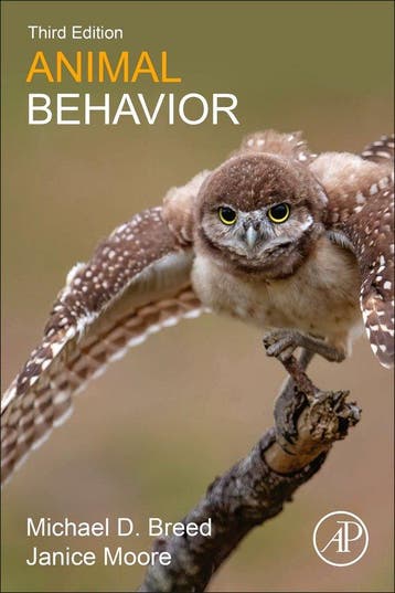 9780128195581 Animal Behavior Shawn E. Nordell, Verzenden, Nieuw, Shawn E. Nordell