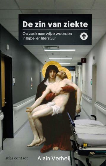 De zin van ziekte 9789045050317, Boeken, Zo goed als nieuw