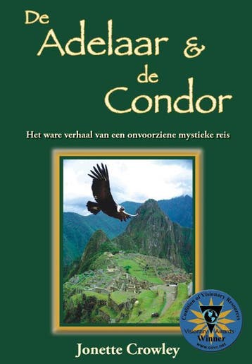 De Adelaar & De Condor - J. Crowley 9789077677186, Boeken, Verzenden, Zo goed als nieuw, J. Crowley