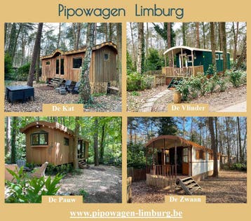 Vakantie nabij Maastricht - slapen in een pipowagen, In bos, Limburg of Luik, Huisdier toegestaan, 2 slaapkamers