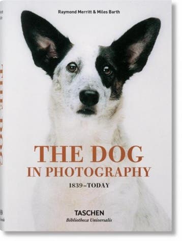 The Dog in Photography 1839 Today - Raymond Merritt, Verzenden, Gelezen, Raymond Merritt