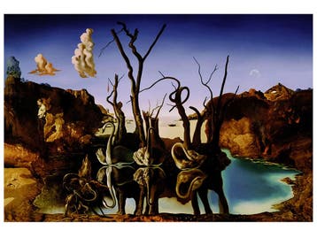 Kunstdruk Salvador Dali - Reflections of Elephants 80x60cm, Verzenden, Nieuw