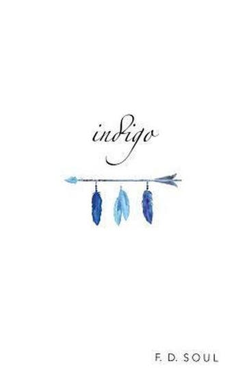 Indigo - F D Soul 9781540756190, Verzenden, Gelezen, F D Soul