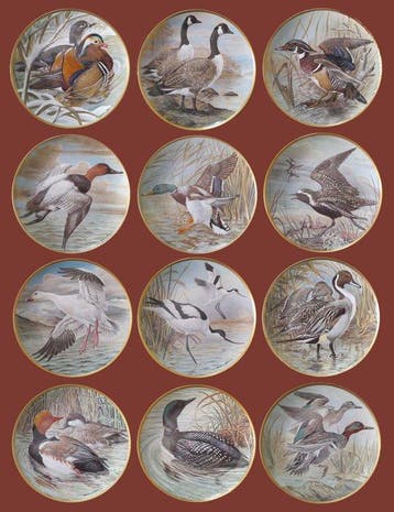 Limoges - Basil Ede - Bord (12) - Porselein - Watervogels