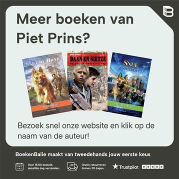 WAPENS IN DE WINTERNACHT - Piet Prins 9789055603169, Verzenden, Gelezen, Piet Prins