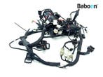 Kabelboom Ducati Multistrada 950 S 2019-2021 (5101G701C), Verzenden, Gebruikt