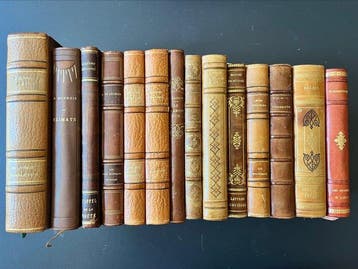 14 ouvrages - reliés -XXe – Cocteau, Rostand, Loti, Balzac,
