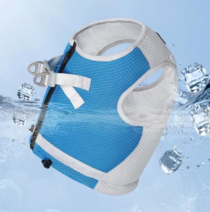 Verkoelend hondenvest Harnas Blauw (hondenkleding), Dieren en Toebehoren, Hondenkleding, Hondenjas, Nieuw, Ophalen of Verzenden