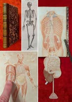 Achille Comte - Structure et physiologie de lhomme [3D