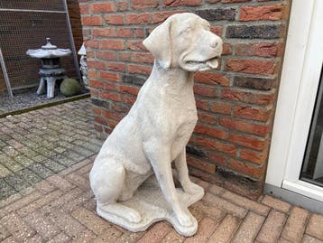 Labrador Retriever 85cm hoog en meer Tuinbeelden, Ophalen, Nieuw, Beton, Abstract beeld