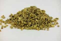 Umbonium Schelpen Geel 200 gram, Ophalen of Verzenden, Nieuw