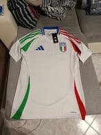 Italia - Voetbal Europees kampioenschap - 2024 -, Nieuw
