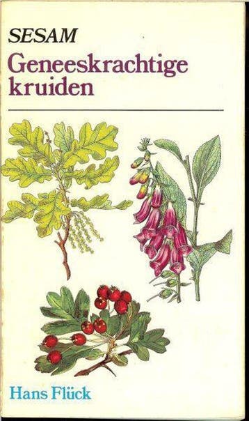 Geneeskrachtige kruiden - Fluck 9789024669493, Verzenden, Gelezen, Fluck