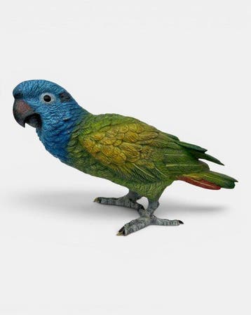 Figuur - Amazon Parrot - Koud geverfd brons