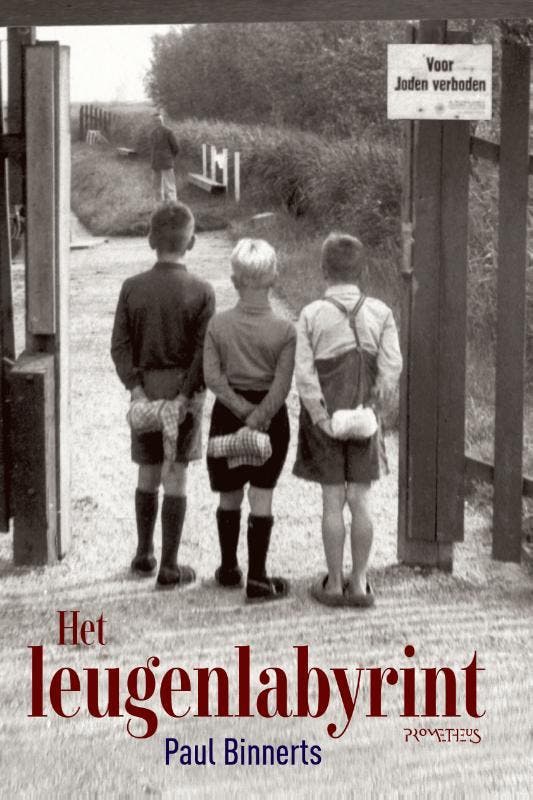 Het Leugenlabyrint | Paul Binnerts | Nieuw, Boeken, Literatuur, Nieuw, Ophalen of Verzenden