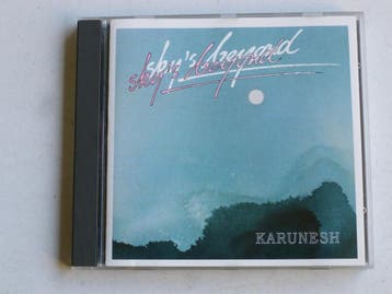 Karunesh - Skys Beyond, Ophalen of Verzenden, Zo goed als nieuw