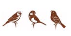 Tuindecoratie drie vogels roest set 1, Tuin en Terras, Verzenden, Nieuw