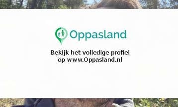 Daan zoekt een oppas in Soest voor 2 kinderen.