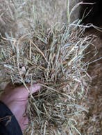 Frans weidehooi met analyse, Dieren en Toebehoren