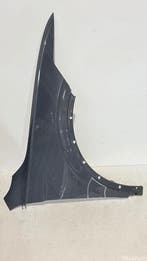 Volkswagen Tiguan 5NA Facelift zijscherm voorscherm rechts, Ophalen, Gebruikt, Voor