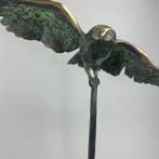 J. Zak (XX-XXI) - The Owl - 44cm bronze (Edition IV/VIII), Antiek en Kunst, Kunst | Designobjecten