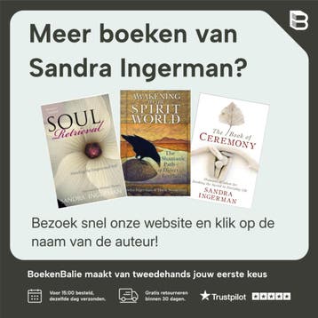 Walking In Light - Sandra Ingerman 9781622034284, Verzenden, Zo goed als nieuw, Sandra Ingerman