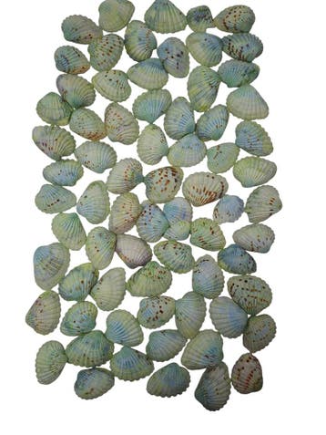 Tiger Chippy Schelpen Groen 500 gram, Ophalen of Verzenden, Nieuw