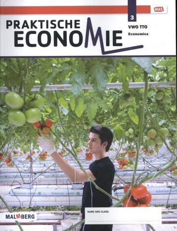 Practische economie 3 VWO TTO 9789402056907, Verzenden, Zo goed als nieuw