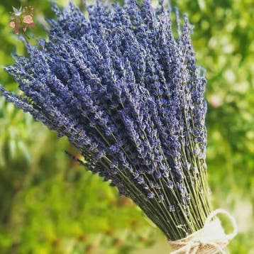 Natuurlijke Gedroogde Lavendel Bundels (50/100 Stuks) - Deco, Huis en Inrichting, Verzenden, Nieuw