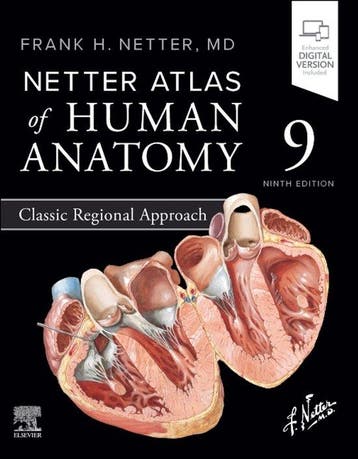 9780443118685 Netter Basic Science- Netter Atlas of Human..., Boeken, Verzenden, Nieuw, Frank H. Netter