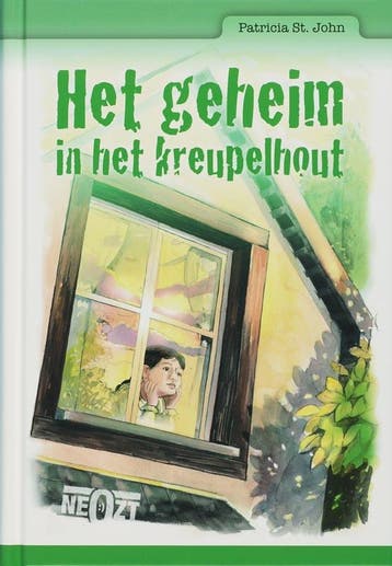 Het geheim in het kreupelhout - P. Saint John 9789063534752, Boeken, Verzenden, Zo goed als nieuw, P. Saint John