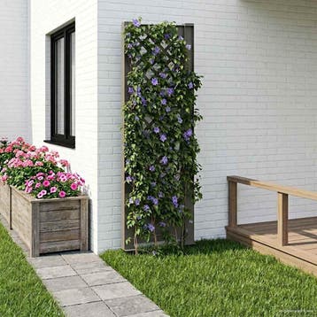 vidaXL Trellis met Spike PP Grijs, Verzenden, Nieuw, Minder dan 60 cm, 60 cm of meer
