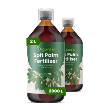 Spitpalm Vloeibare meststof - Set 2x1 liter, Verzenden, Mest