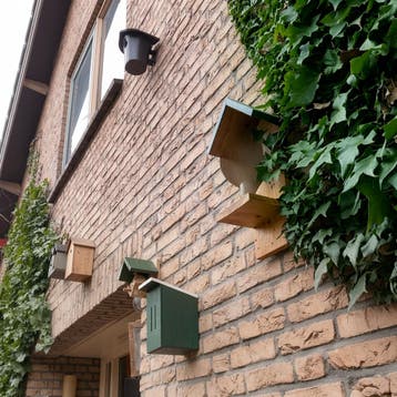 Kamer gevonden in of bij Velp