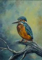 Lodewijk Busing 1965 - / CH van Dijk - ijsvogel