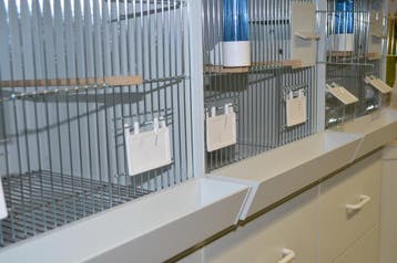 5040 Morsgoot 40 cm, Dieren en Toebehoren, Ophalen of Verzenden, Nieuw