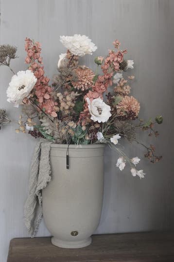 Brynxz Delphinium sweet orange 90 cm, Ophalen of Verzenden, Nieuw