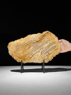 Prachtige plak versteend hout op een op maat gemaakte
