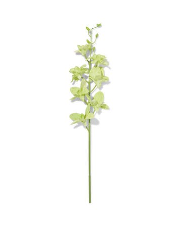 HEMA Kunstbloem dendrobium 55cm rubber groen, Verzenden