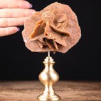 Cabinet de Curiosity - Desert Rose Kristallen - messingbasis