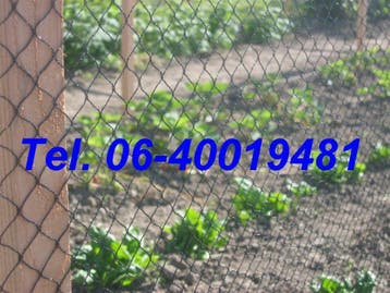 Vogelnet, zware kwaliteit vogelnetten, Dieren en Toebehoren, Ophalen of Verzenden, Nieuw, Kippenhok of Kippenren
