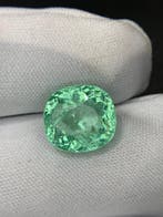 1 pcs Groen Paraiba toermalijn - 12.49 ct - Asian Institute, Nieuw