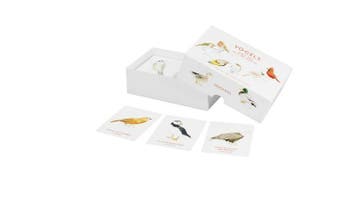 Boek: Vogels - (als nieuw), Verzenden, Zo goed als nieuw