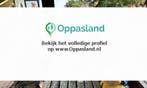 Kirsten zoekt een oppas in Zwolle voor 1 kind op dinsdag.