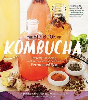 9781612124346 The Big Book of Kombucha Hannah Crum, Verzenden, Nieuw, Hannah Crum