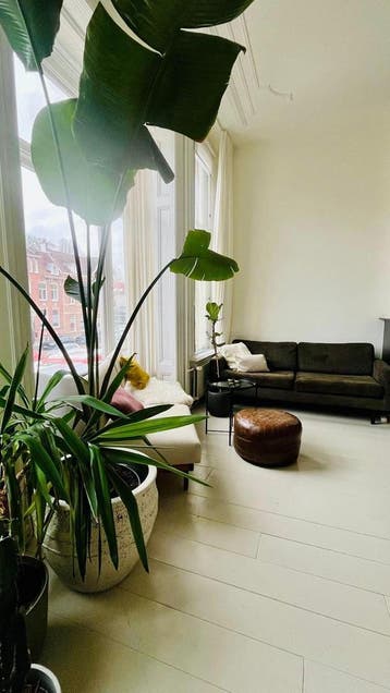 Te huur: Appartement Oranje Nassaulaan in Den Bosch, Den Bosch, Noord-Brabant, Appartement
