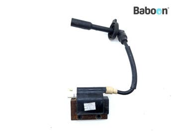 Bobine KTM 125 Duke 2013-2016, Motoren, Verzenden, Gebruikt