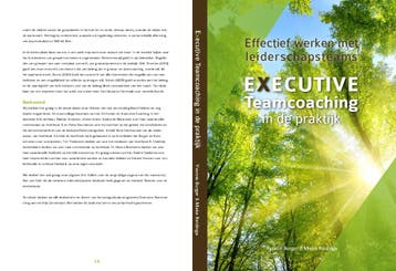 Executive Teamcoaching in de praktijk 9789078876243, Verzenden, Zo goed als nieuw, Yvonne Burger