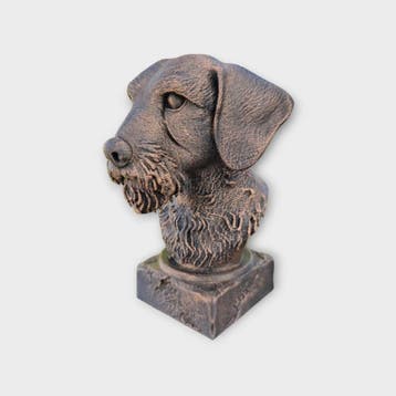 Bust of a wire haired dachshund statue - home decor dog love, Verzenden, Nieuw